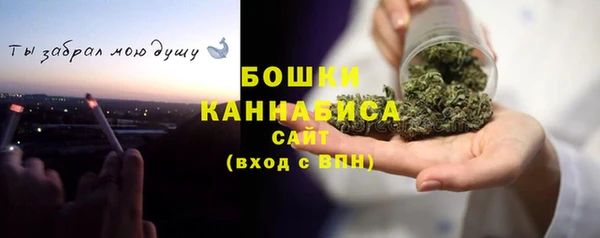 СК Вяземский