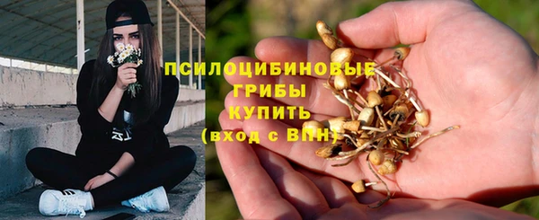а пвп мука Вязьма