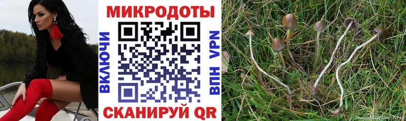 нарко площадка состав  Мытищи  Галлюциногенные грибы Magic Shrooms  купить наркоту 