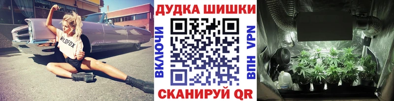 Канабис Amnesia  купить закладку  hydra ССЫЛКА  Мытищи 